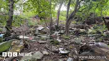 Fundraiser launched to protect Blackswarth Road Wood, Bristol