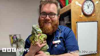 Bristol student overcomes bereavement to graduate as a vet
