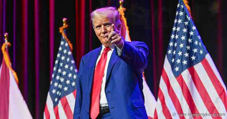 Trump Lawyer to Make Ingenious Request for Trial: 'Take the Curtain Away and All Americans Get to See What's Happening'