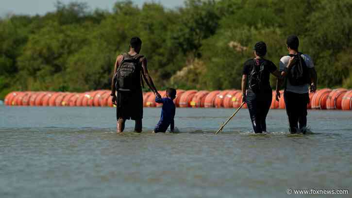 DHS calls for more agency volunteers to help process migrants at southern border