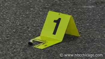 Child shot in Portage Park, Chicago officials say