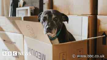 House prices are falling, so why can't I afford a home?