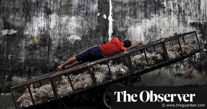 The big picture: Danish Siddiqui’s vivid image of Mumbai street life
