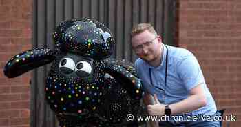 I completed the Shaun The Sheep on the Tyne art trail in just one day and it was a mammoth task