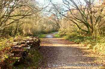 Walk to pub around one of Surrey's 'most fascinating places'