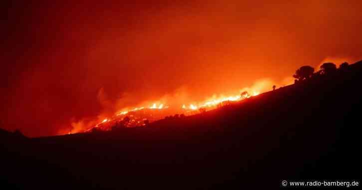 Waldbrände zerstören Tausende Hektar in Spanien und Portugal