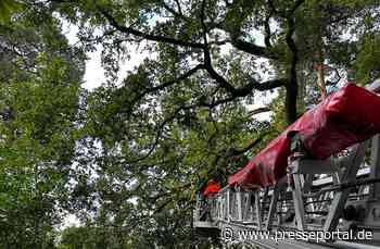 FW-Schermbeck: Ast in Baumkrone