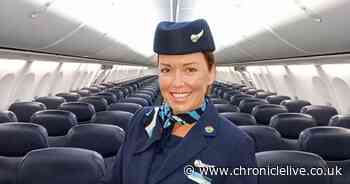 Newcastle flight attendant shares top tips for travelling with young children