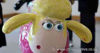 Shaun the Sheep trail loses one of its flock after 'serious and deliberate damage' on Shields Road