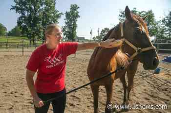 Rescue Organization Hope for Horses Opens in Stafford