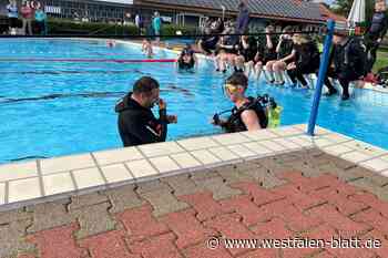 Abtauchen: Im Freibad Werther geht es in die Tiefe