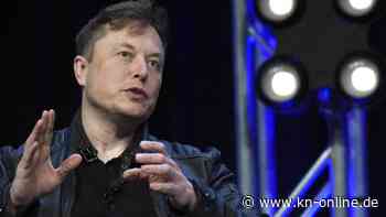 Elon Musk: Käfigkampf mit Mark Zuckerberg - Twitter-Chef trainiert schon