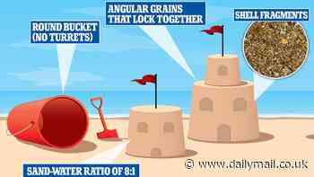 How to make the perfect sandcastle, according to science: Using an 8:1 ratio of sand to water and packing the bucket full of shells is key to achieving the most stable structure, expert says