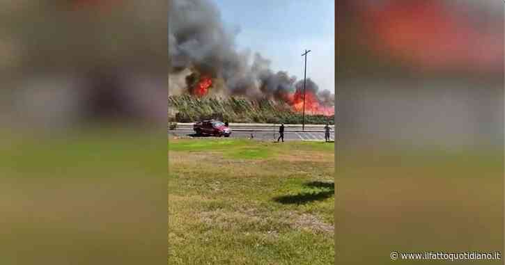 Sardegna, incendio nell’area protetta alle porte di Quartu Sant’Elena. In fiamme il canneto vicino alla spiaggia del Poetto