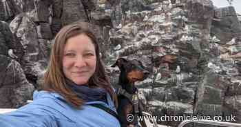 Travel writer dubs Northumberland one of the best places to take your dog on holiday