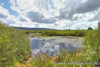 Lübbecke: Umweltminister unterstützt Moorschutz in den Bastauwiesen