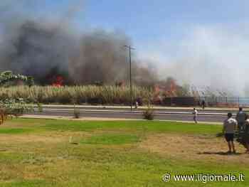 Brucia la Sardegna: grosso rogo nella costa Nord orientale. Problemi anche al sud dell'isola 