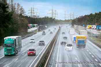 Wie die Paderborner unterwegs sind