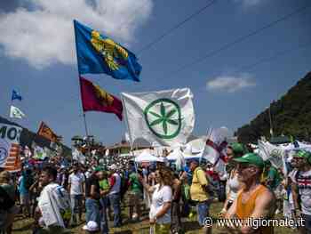 Tornano le feste di partito, ecco quando e dove