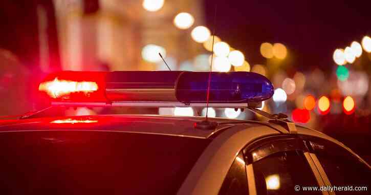 74-year-old woman dead following domestic disturbance in Arlington Heights