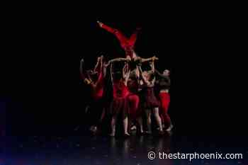 Saskatoon Fringe reviews: We rate the 2023 shows and performances