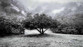 Getting Your Fine Art Photography Into Galleries