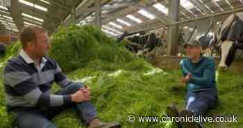 Matt Baker gives Countryfile 'assurances' to BBC viewers as he launches new TV venture