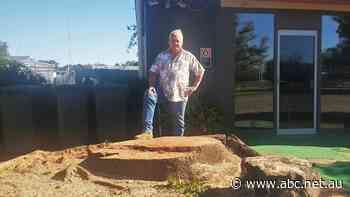 Power company apologises after community 'blindsided' by removal of 130-year-old tree