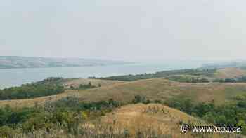 Firefighters contain wildfire at Buffalo Pound Provincial Park