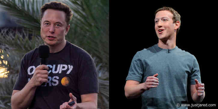 Elon Musk Says He'll Be Fighting Mark Zuckerberg, Live-Streaming on X