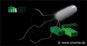 Bakterien als Schmiede