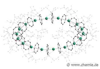 Nano-Ringe: Neuartige Bausteine für die Chemie