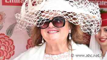 'Fatal flaws' in argument underpin claim for slice of Gina Rinehart's iron ore empire, WA Supreme Court hears