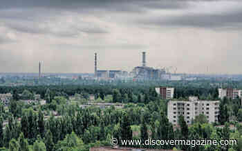 5 Examples of the Worst Human-Made Disasters in History