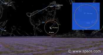 See Jupiter and the half moon join up in the night sky tonight