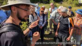 Naturschützer finden Grünes Heupferd und Ödlandschrecke