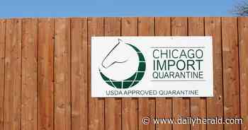 Arlington Park still has horses -- until this week