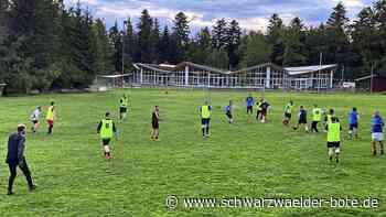 SG Neusatz/Rotensol: Endlich  wieder am Ball