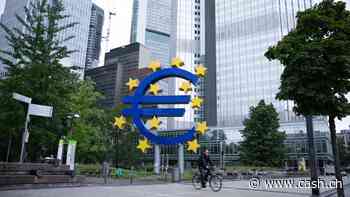 Geld- und Fiskalpolitik fügen der Eurozone einen grossen Schaden zu