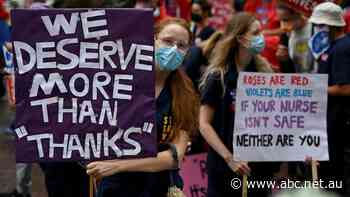 NSW nurses accept government's 4pc pay rise in narrow vote 'driven by cost of living'