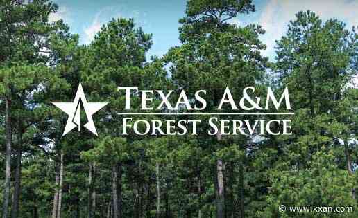 Crews work to contain fire northeast of Lampasas