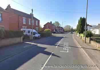 Man 'beating puppy' arrested on suspicion of animal cruelty