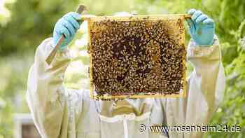 Bienen helfen: Mit fünf Dingen, können Sie Bienen schützen
