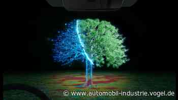 Autonomes Fahren: Wärmebilder mit Details und Texturen