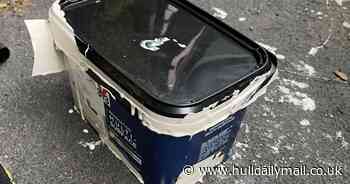 Furious couple claim B&Q paint ruined car after tipping over on way home - but 'DIY giant refuse to pay for damage...again'