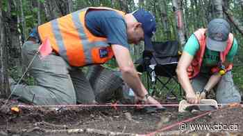 Archaeologists unearth clues about life in an Alberta boom town from the early 1900s