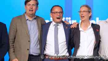 AfD-Programm: Einigkeit zwischen Europas Rechtsparteien?