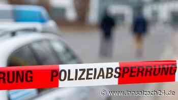 Unfassbare Tat: Mann tötet Hund, zerstückelt Vermieterin (80) und will Leiche verbrennen