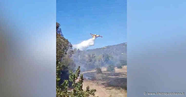 Incendi in Sardegna, fiamme a poca distanza dalle spiagge di Costa Rei: il canadair in azione – Video