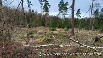 100 Millionen Euro: Wolfenbüttel kann Bundesförderung beantragen